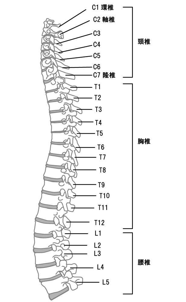耳鳴りの当院でのアプローチは?