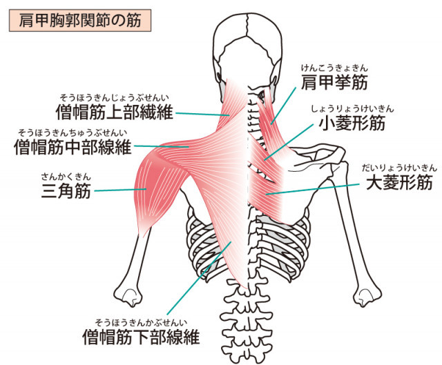 頸肩腕症候群への当院のアプローチは？