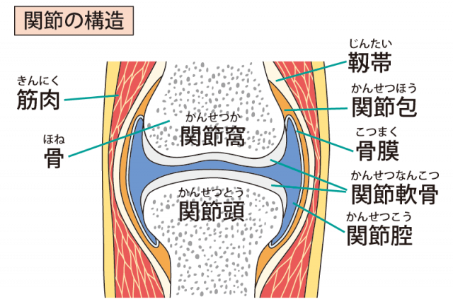 ガングリオンとは?