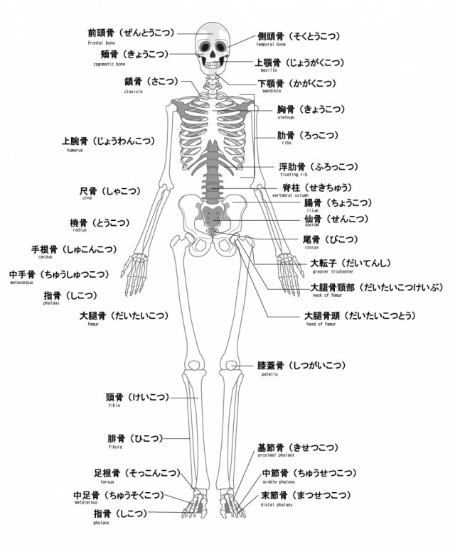 当院の膝痛へのアプローチは？